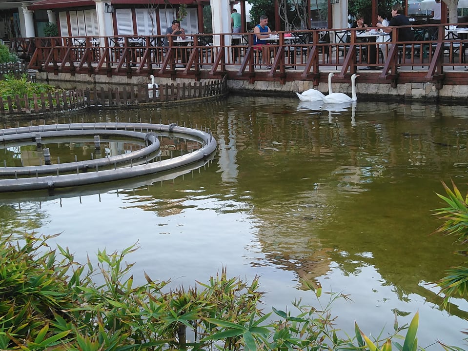 Gastro IC Hotels Green Palace