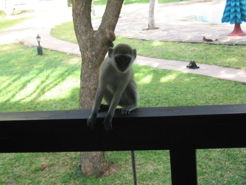 security PrideInn Flamingo Beach Resort & Spa