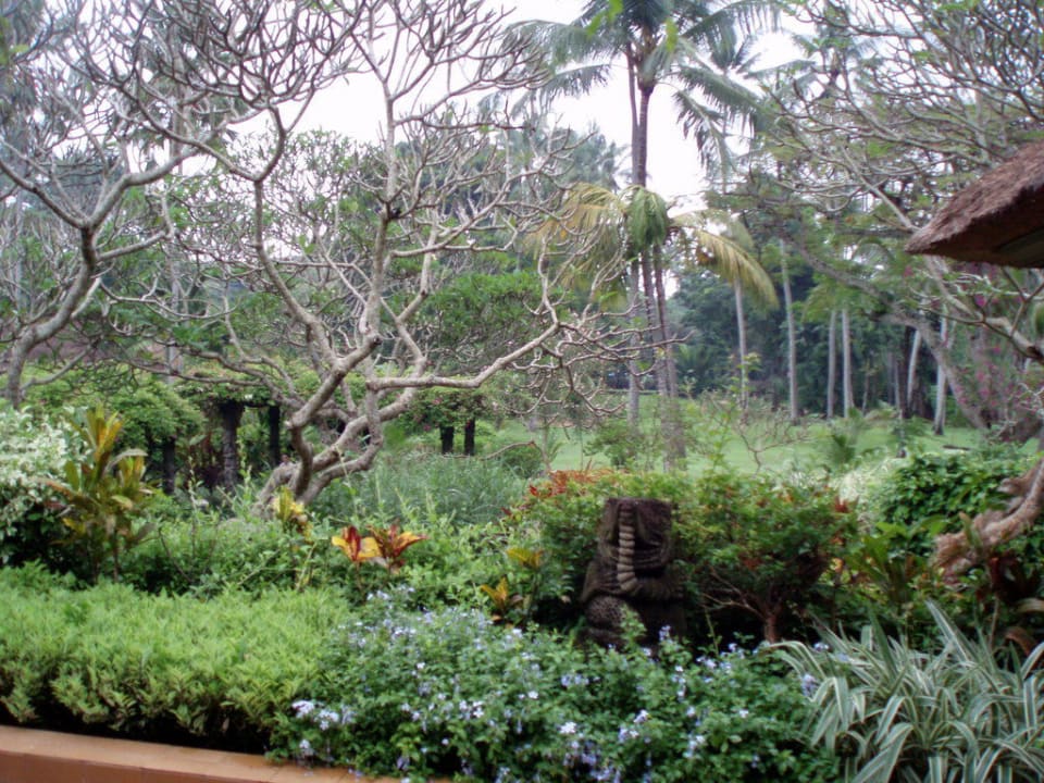 Tropischer Garten Hyatt Regency Bali
