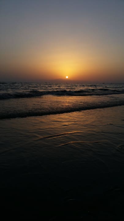 Sonnenuntergang Trendy Palm Beach (Adults Only, 16+)