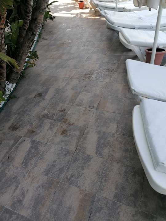 Pool Saturn Palace Resort Hotel