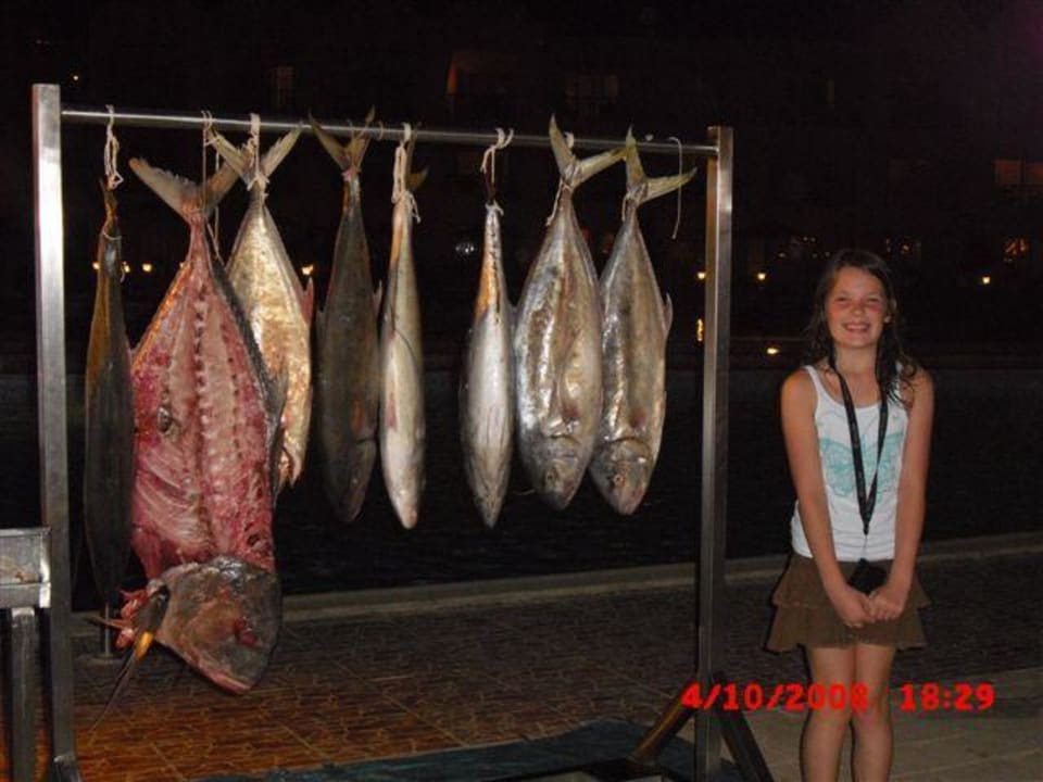 Frischer Fisch Titanic Beach Spa & Aqua Park