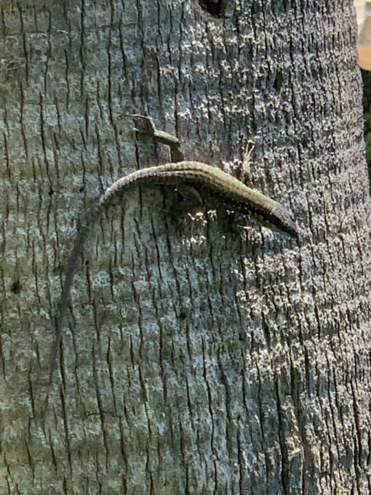 Sonstiges Starlight Resort Hotel