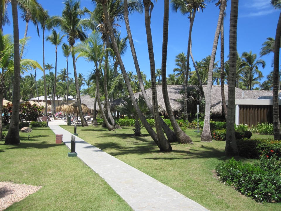 Gartenanlage Hotel Grand Palladium Palace Resort, Spa & Casino