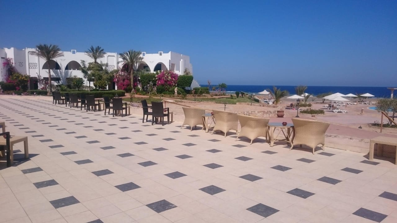 Blick von der Terrasse auf Pool Three Corners Equinox Beach Resort