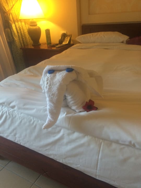 Zimmer Pickalbatros Sands Hotel - Port Ghalib