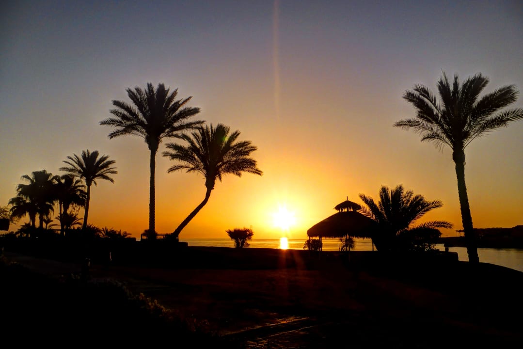 Ausblick Steigenberger Coraya Beach - Adults only