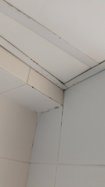 Zimmer The Diplomat Hotel