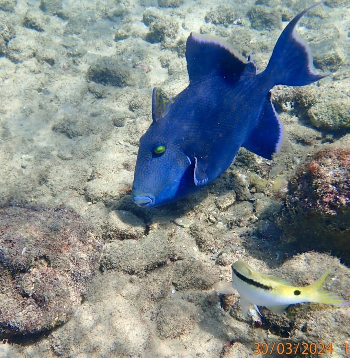 Sport & Freizeit Ghazala Beach