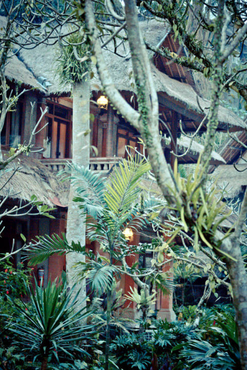 Mitten im Dschungel Hotel Tjampuhan