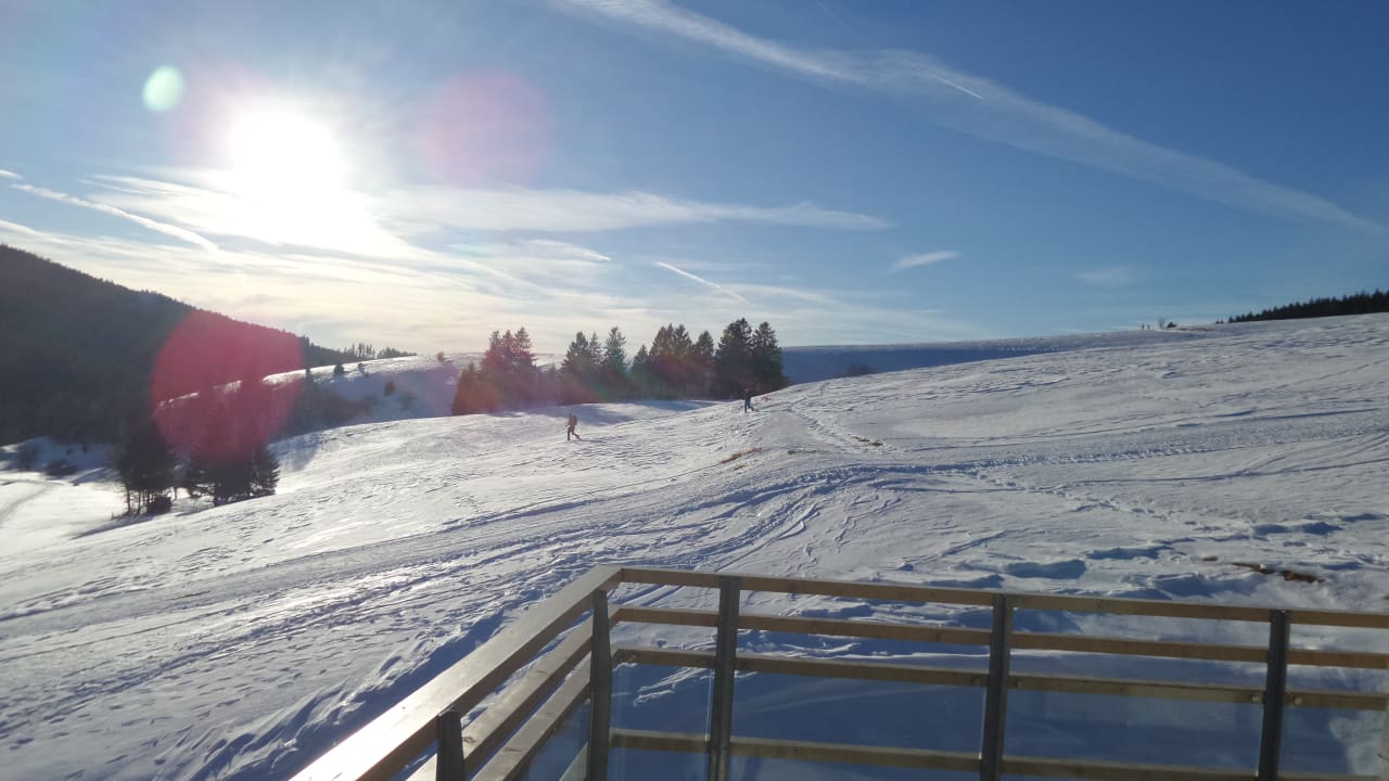 Ausblick vom Balkon derWaldfrieden naturparkhotel