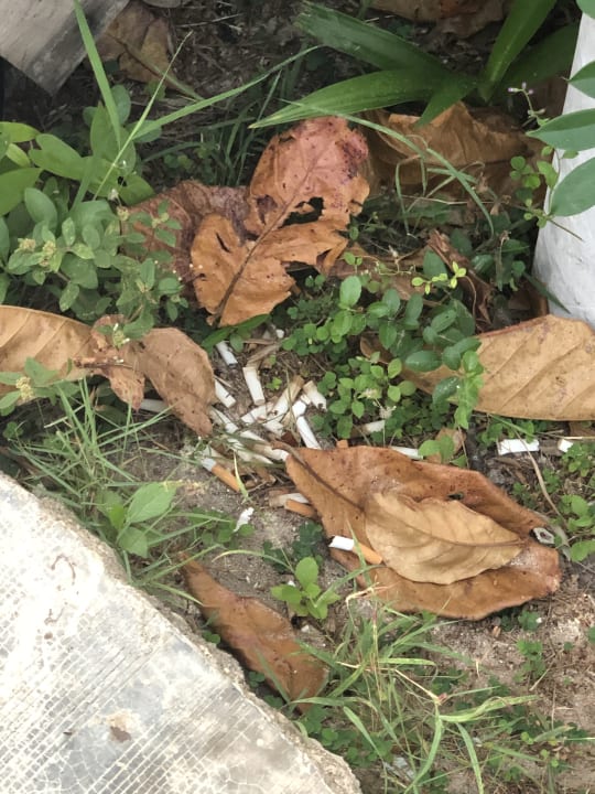 Pool Hotel Nakara Long Beach Resort