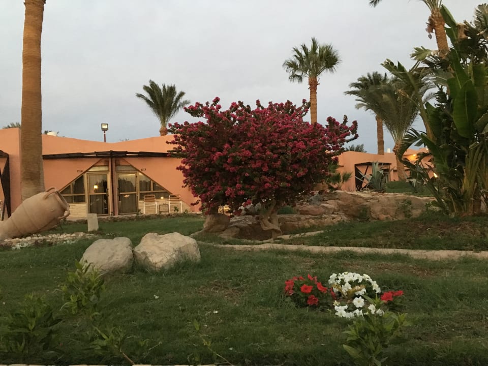 Zimmer Eagles Paradise Abu Soma