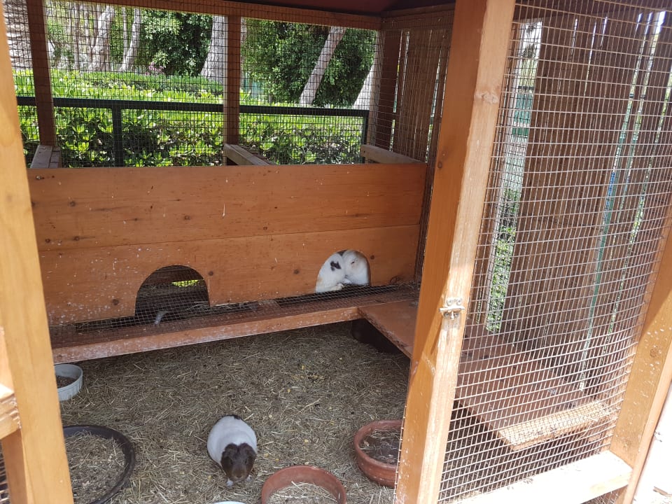 Streichelzoo  Anissa Beach & Village