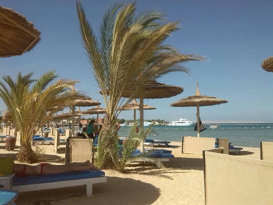 Sandstrand Pickalbatros White Beach Resort - Hurghada