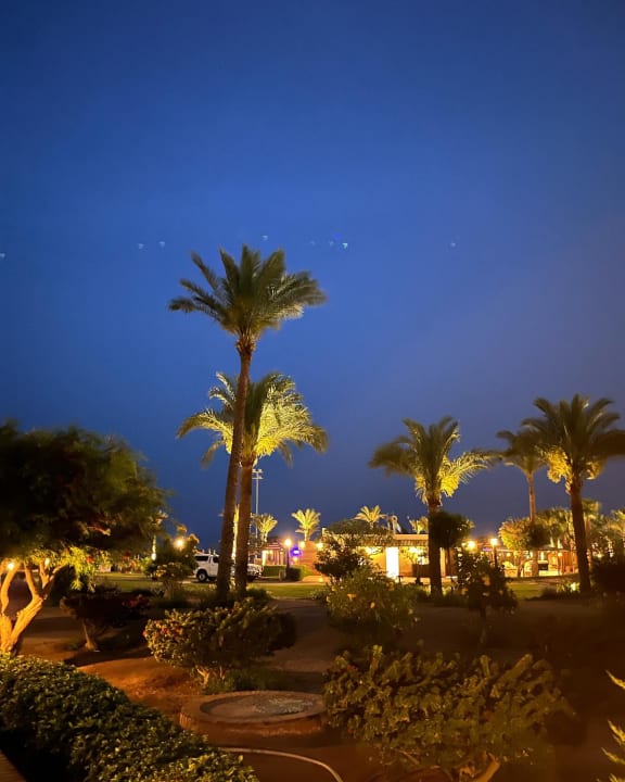 Gartenanlage Steigenberger ALDAU Beach Hotel