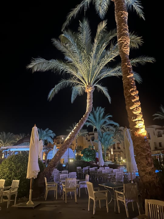 Pool Steigenberger Coraya Beach - Adults only