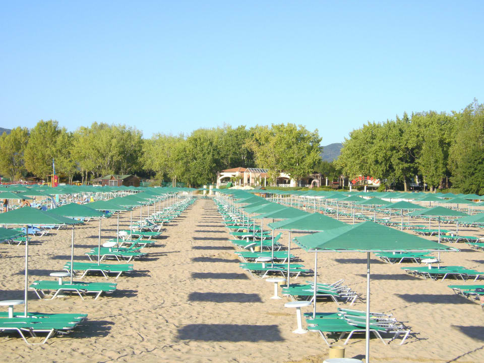 Strand mit Liegen Duni Royal Holiday Village