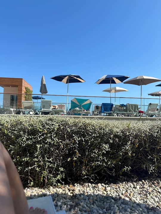 Pool Valamar Bellevue Resort