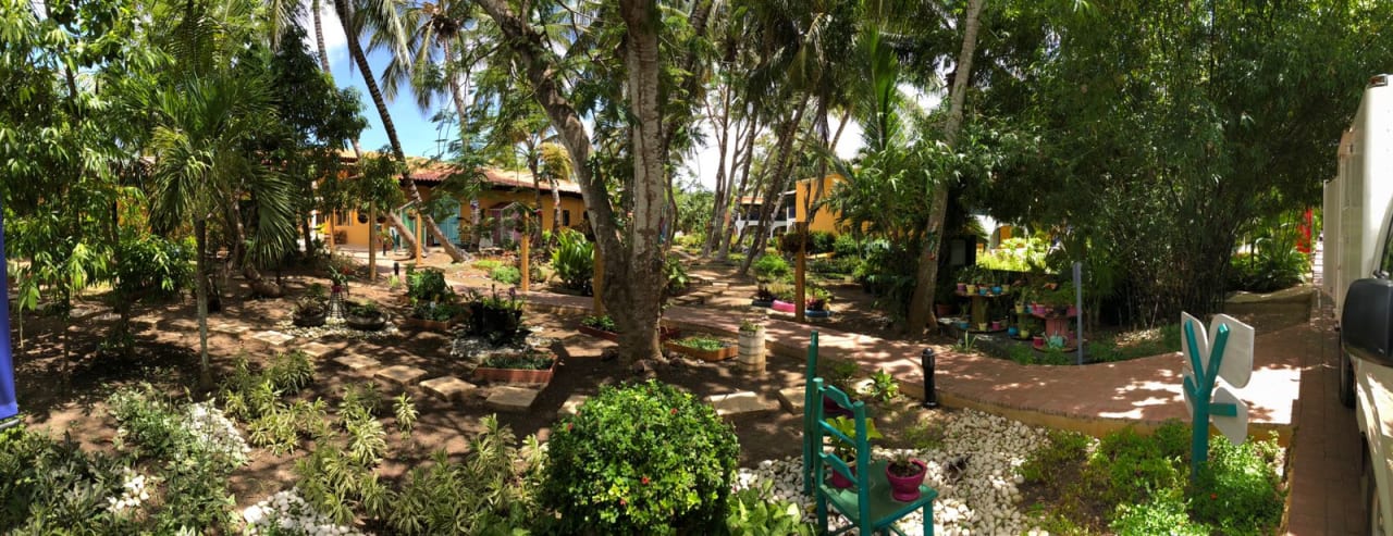 Gartenanlage Catalonia Royal La Romana - Adults only