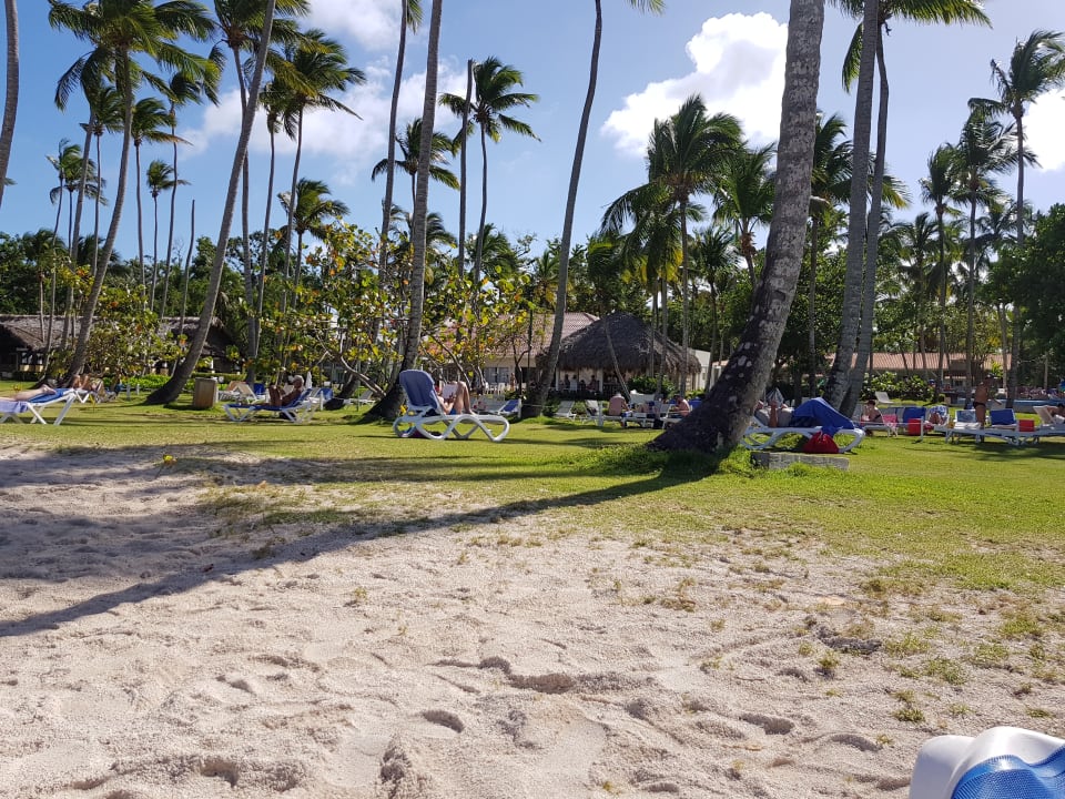 Gartenanlage Wyndham Alltra Samana