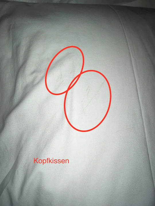 Schmutziges Kissen/dirty pillow Hotel Royal