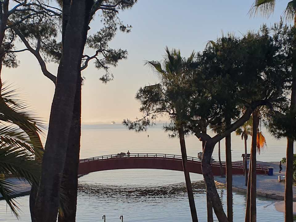 Außenansicht allsun App.-Hotel Orquidea Playa