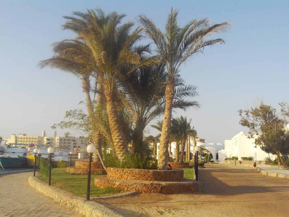Weg zum Riff Arabella Azur Resort