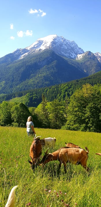 Sonstiges Ferienwohnung Gröllehen