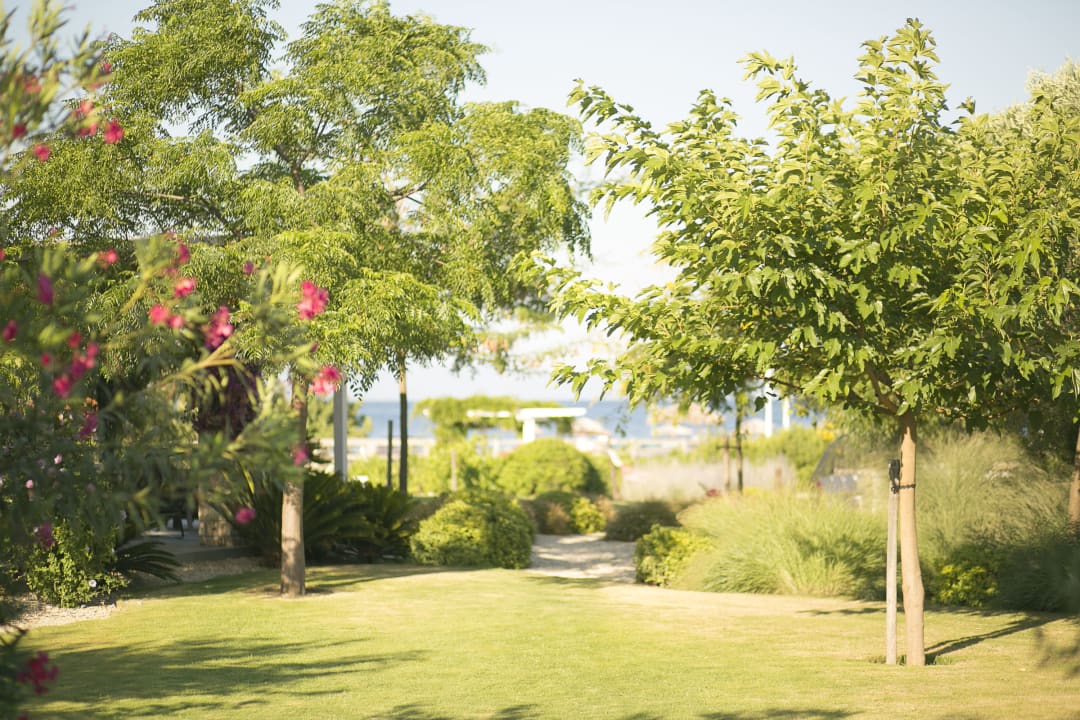 Gartenanlage Ammouda Villas
