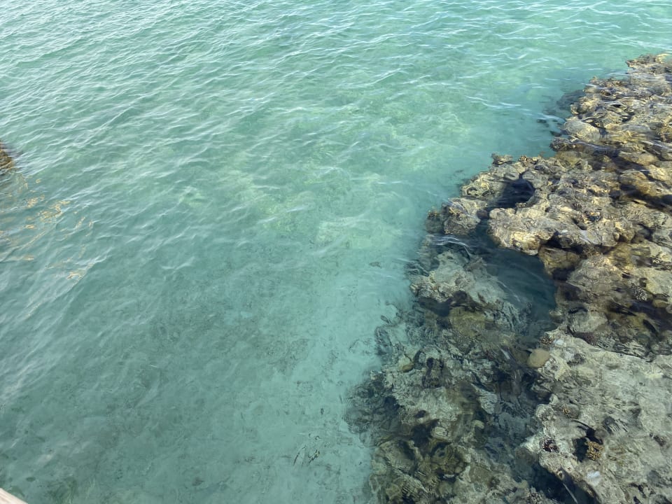 Sport & Freizeit Tropitel Sahl Hasheesh