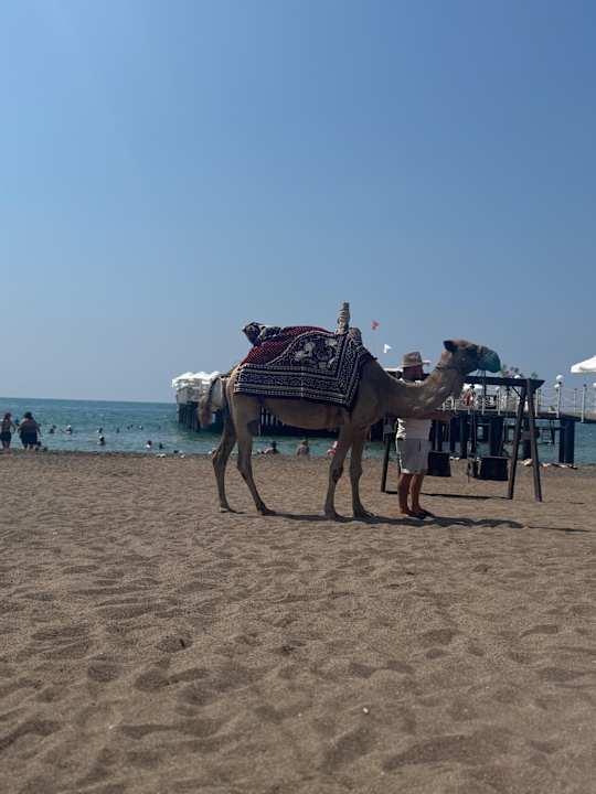 Sonstiges Adalya Elite Lara