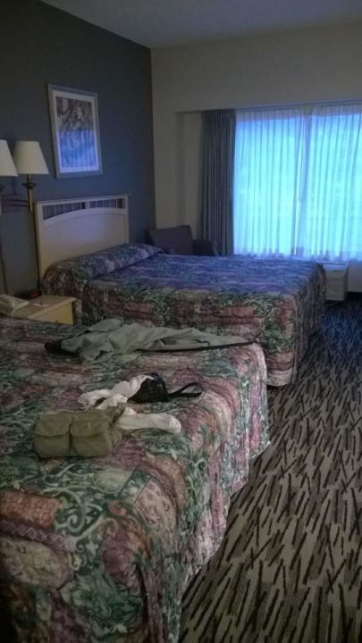 Betten vom Eingang des Zimmers aus Guesthouse Inn And Suite Music