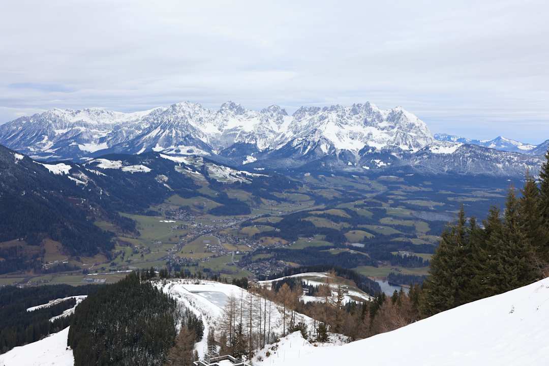 Ausblick Das Reisch