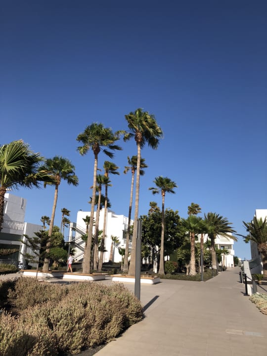 Außenansicht Sentido Aequora Lanzarote Suite