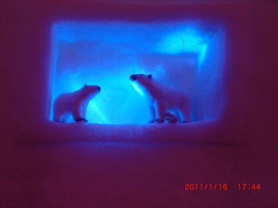 ApresSki Iglu Natur & Wellnesshotel Höflehner