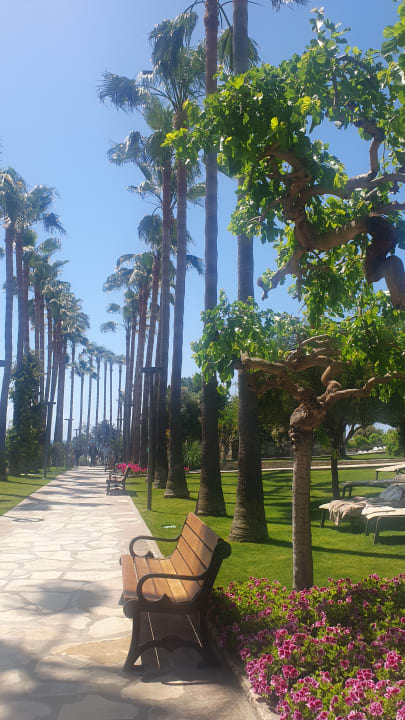 Gartenanlage Arum Barut Collection