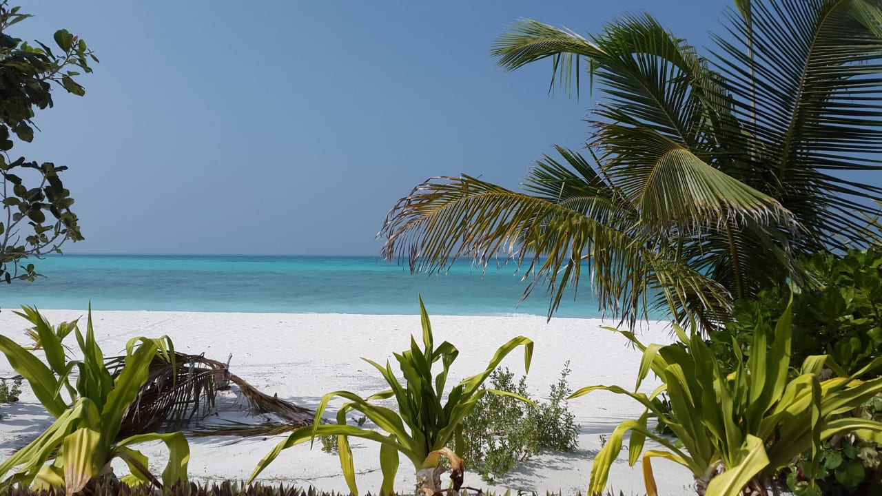 Strand Atmosphere Kanifushi Maldives