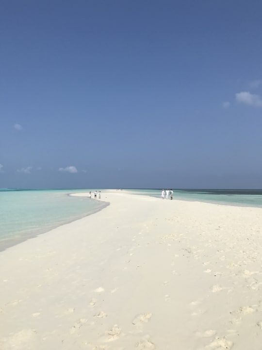 Sandbank  Kuredu Island Resort & Spa