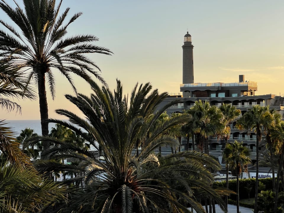Ausblick Hotel Riu Palace Oasis