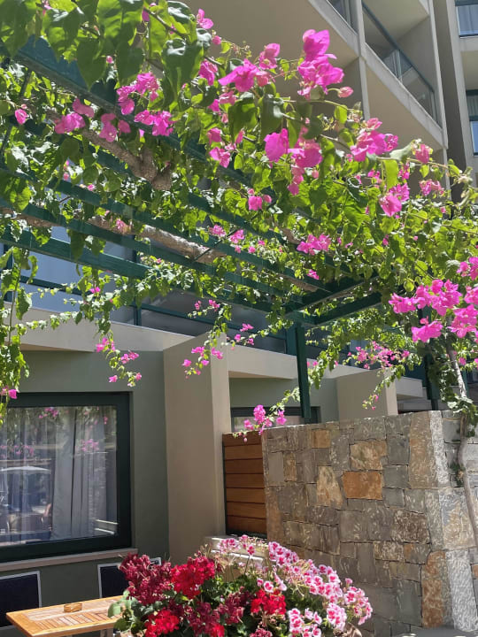 Gartenanlage Calimera Sirens Beach