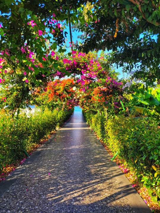 Strand Rubi Platinum Sign