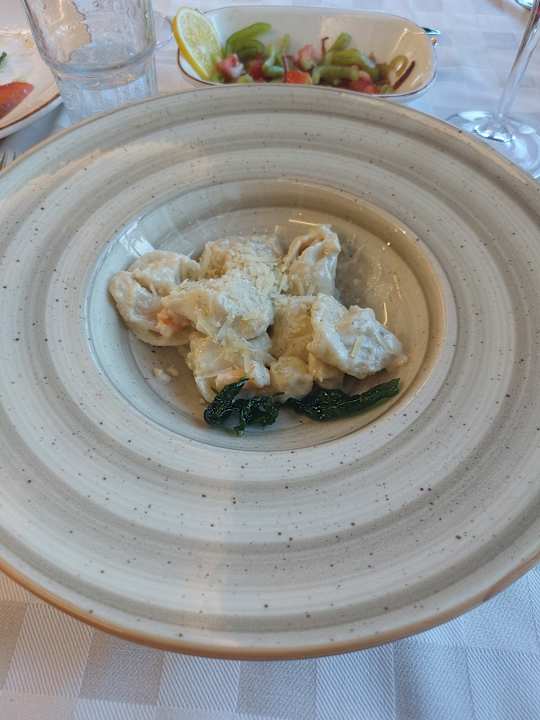 Gastro Seashell Vega