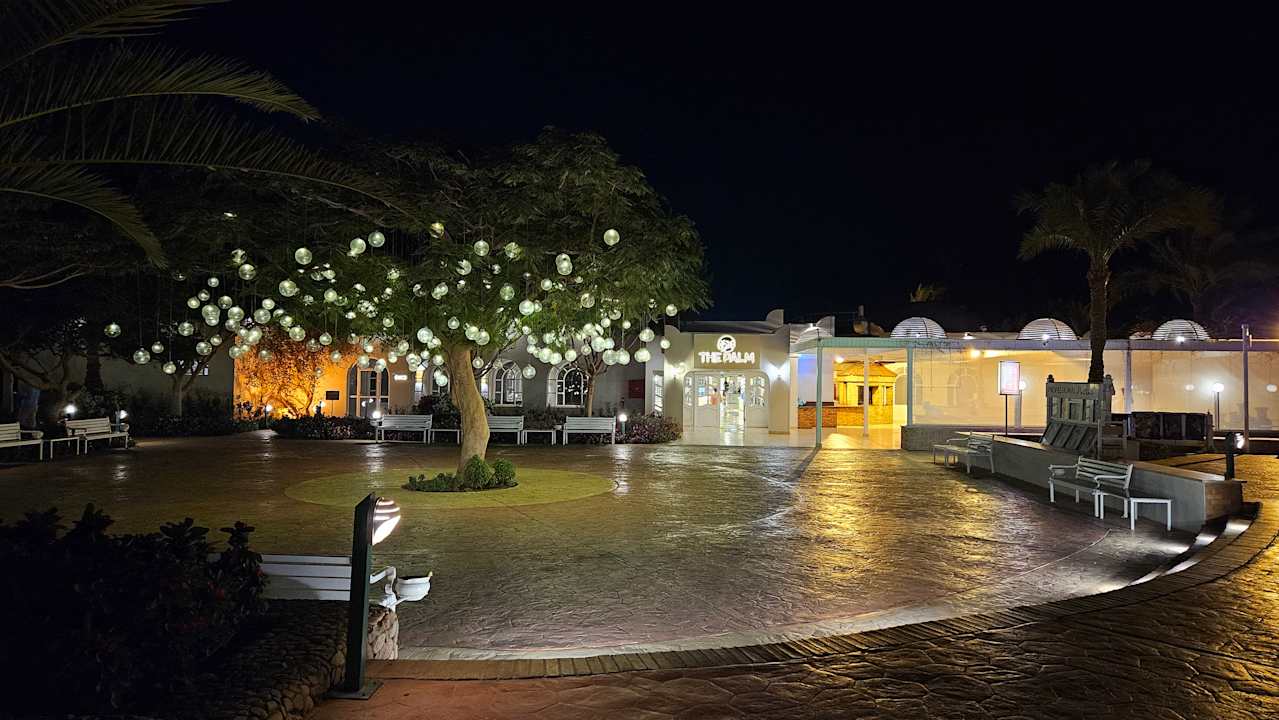 Sonstiges Desert Rose