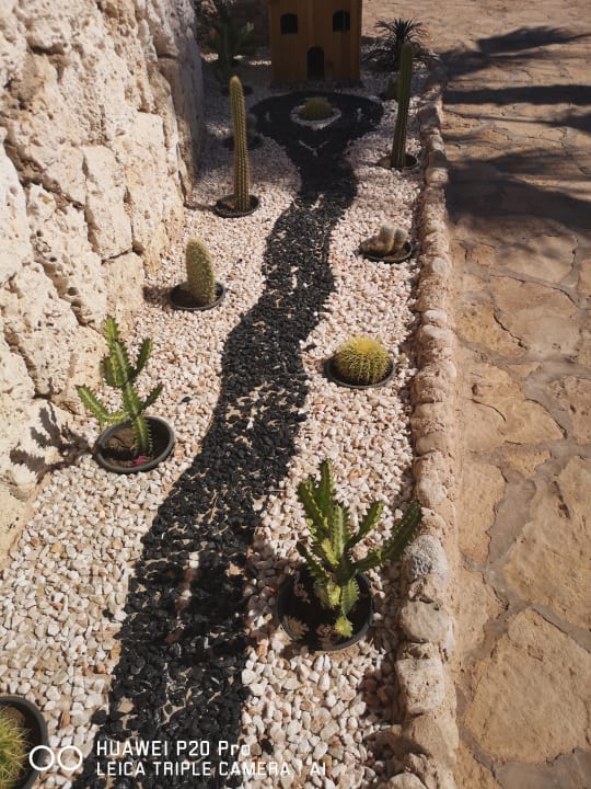 Gartenanlage Sharm Club Beach Resort