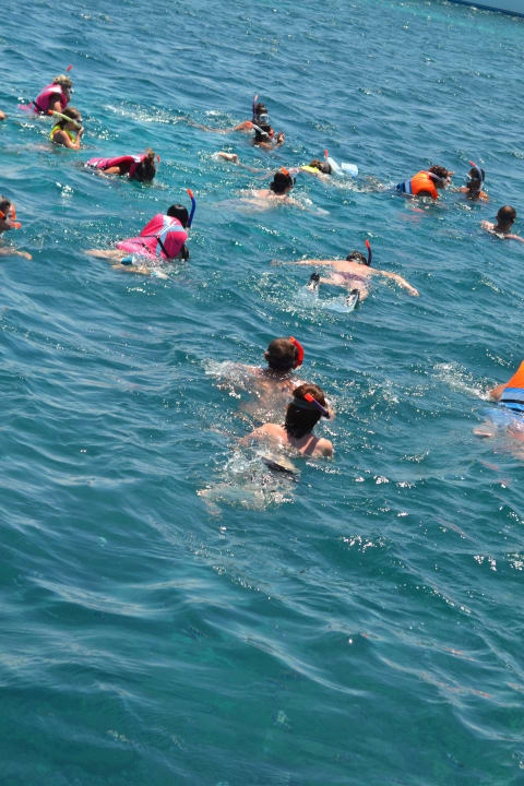 Красное море Le Jardin Aqua Park Resort