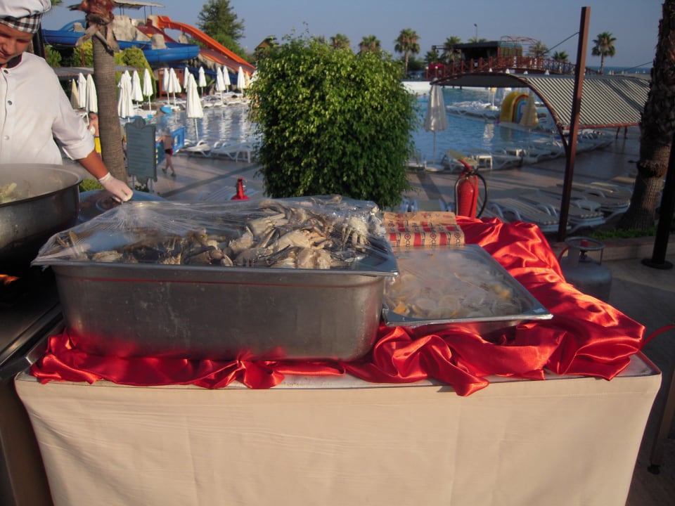 Abendbuffet Oz Hotels Incekum Beach