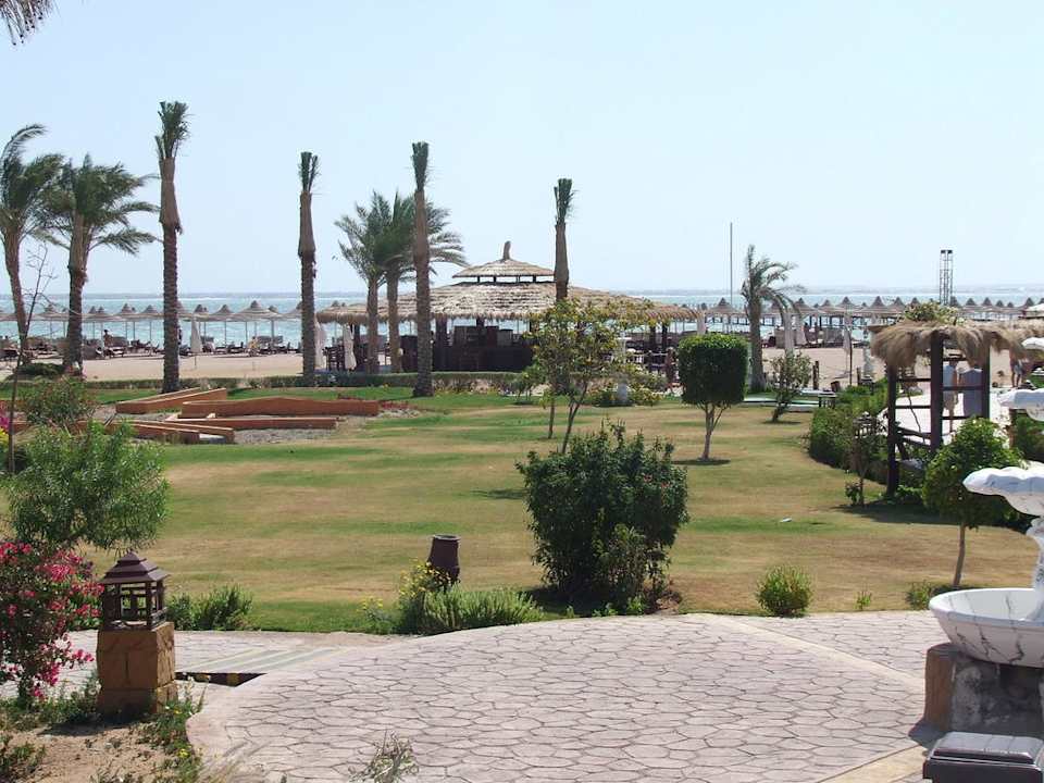 View near beach Regency Plaza Aqua Park & Spa