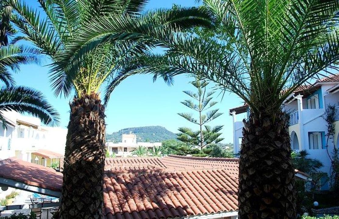 Widok z balkonu. Sunrise Zante - Adults Only Hotel