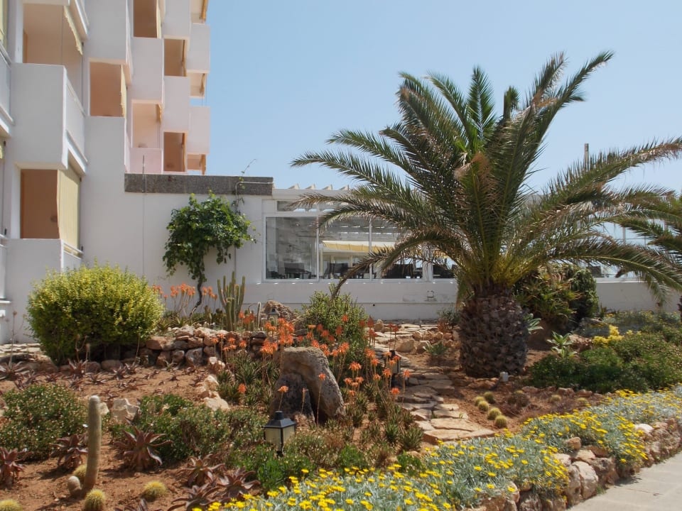 Garten neben der Terrasse Universal Hotel Cabo Blanco - Adults Only